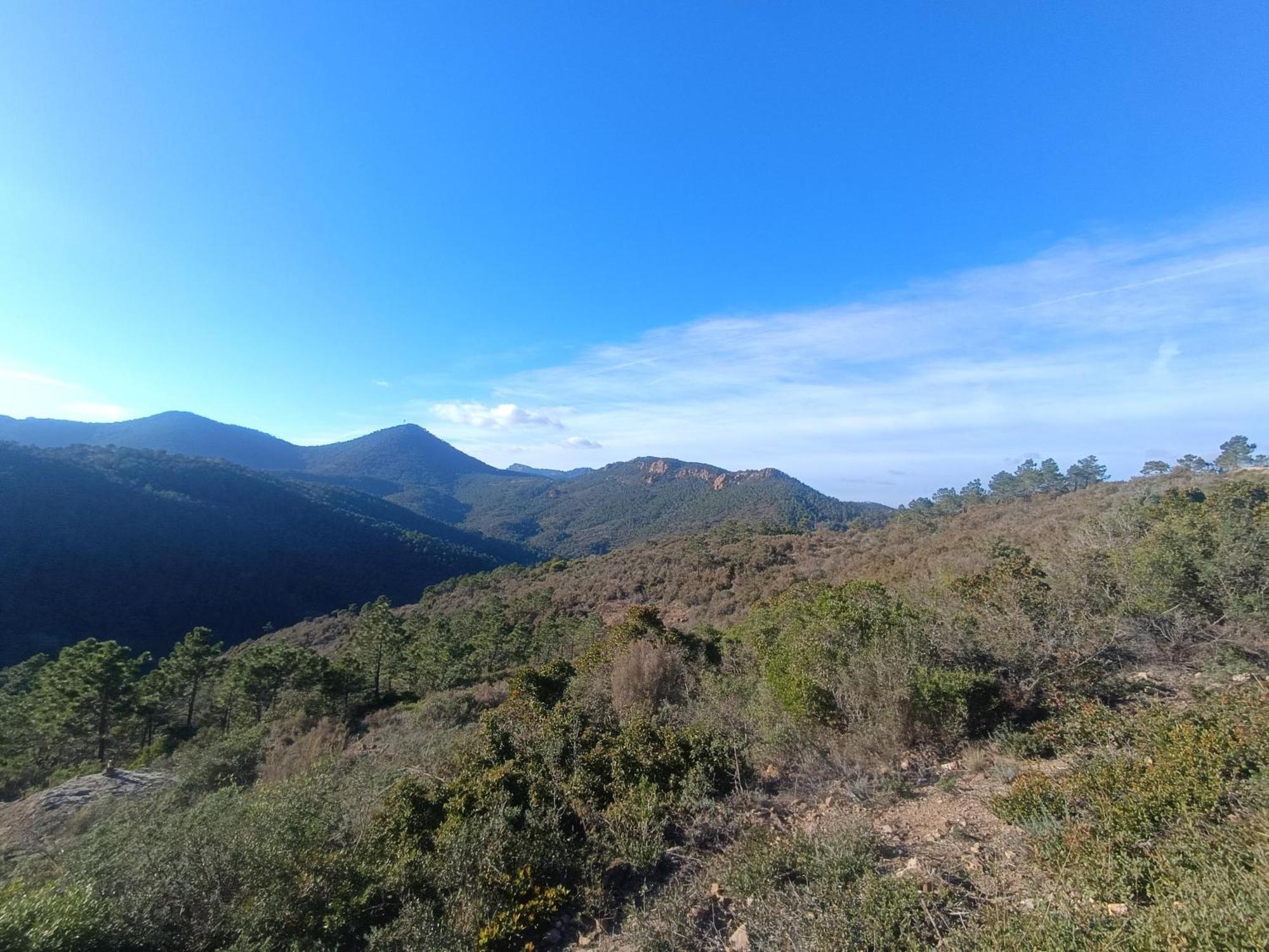 Magnifique Vue Mer Et Piscine - Les Cles De L Esterel 泰晤勒·苏尔·梅尔 外观 照片