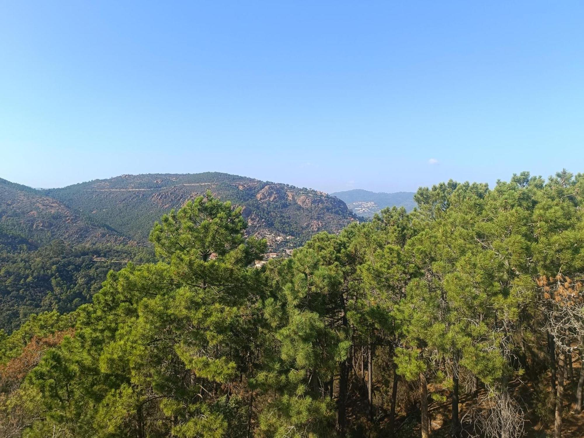 Magnifique Vue Mer Et Piscine - Les Cles De L Esterel 泰晤勒·苏尔·梅尔 外观 照片